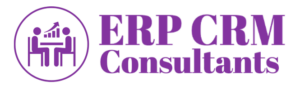 ERP CRM Consultant